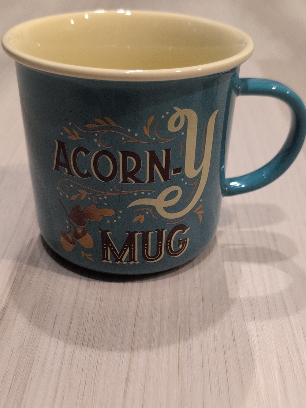 Fall Cost Plus World Market Teal Acorn Mug with Cream Interior